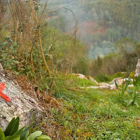 Portantiqua, 4* Góis