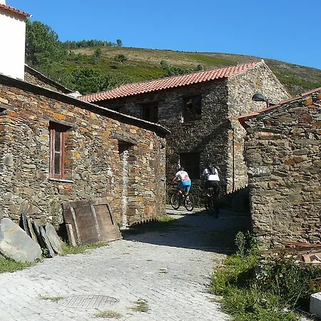Portantiqua,