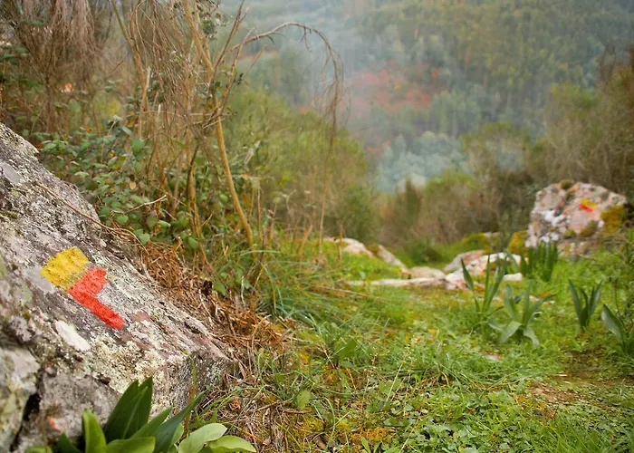 Portantiqua, 4* Góis